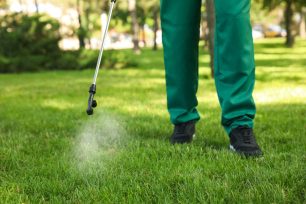 Best Emergency Pest Control  in Excelsior Springs, MO