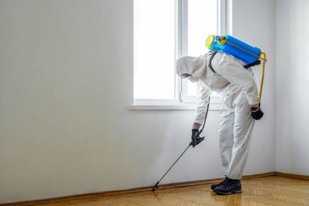 Reliable Excelsior Springs, MO Pest Control Solutions