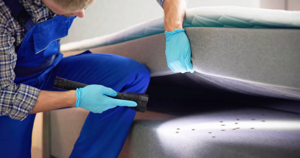 Best Local Pest Control Services  in Excelsior Springs, MO