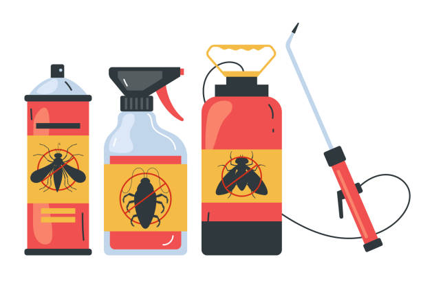 Best Termite Control Services  in Excelsior Springs, MO