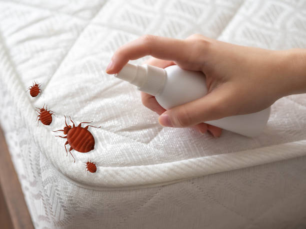 Excelsior Springs, MO Pest Control Company