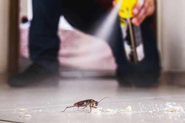 Best Pest Removal Services  in Excelsior Springs, MO