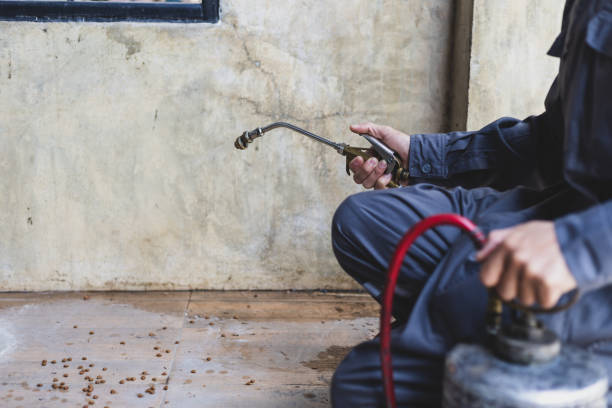 Best Best Pest Control Companies  in Excelsior Springs, MO